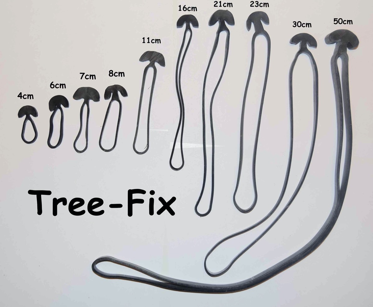 The elastic rubber band to attach your trees and plants